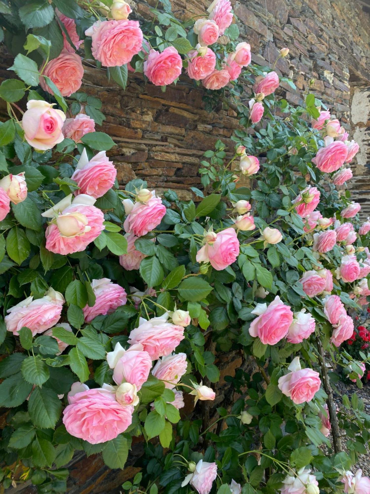 라젤르이본 La Mouliniere, Jolie Longere Du Xviie B&B 외부 사진